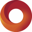 DDN logo
